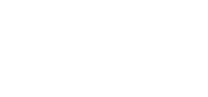 Logo Systematische Einzelberatung